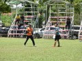Tn dsc 0999